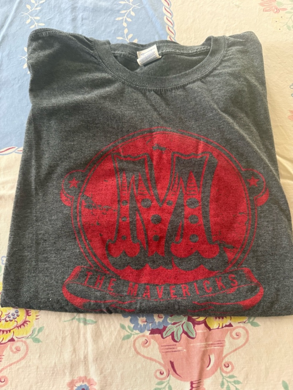 🆕The Mavericks Concert 2016